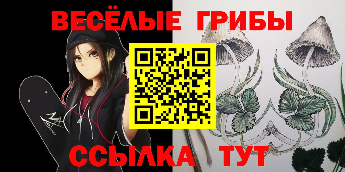 Галлюциногенные грибы Psilocybine cubensis  Псилоцибиновые грибы ЛСД  Гуково  Вход с VPN 